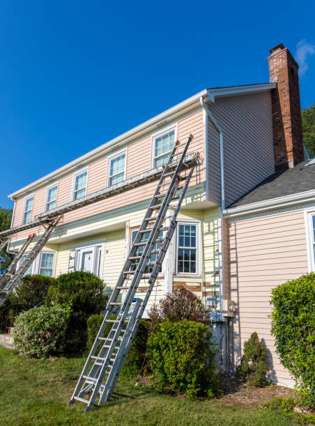Best Yard Waste Removal  in Rogersville, MO